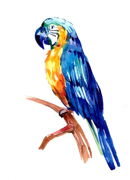 Tropical parrot perch