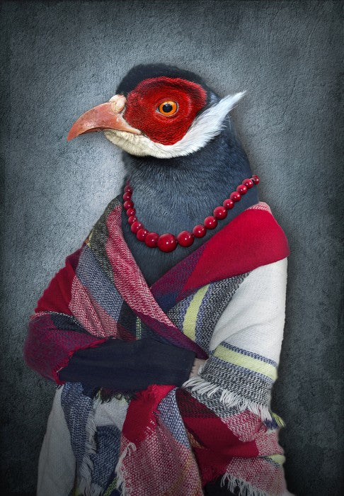 The old bird