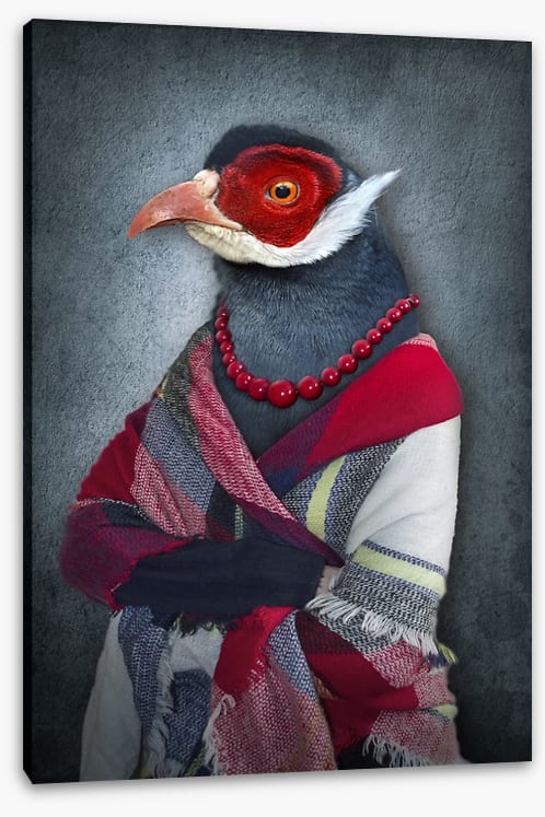 The old bird