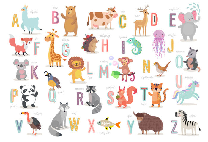 A is for alpaca