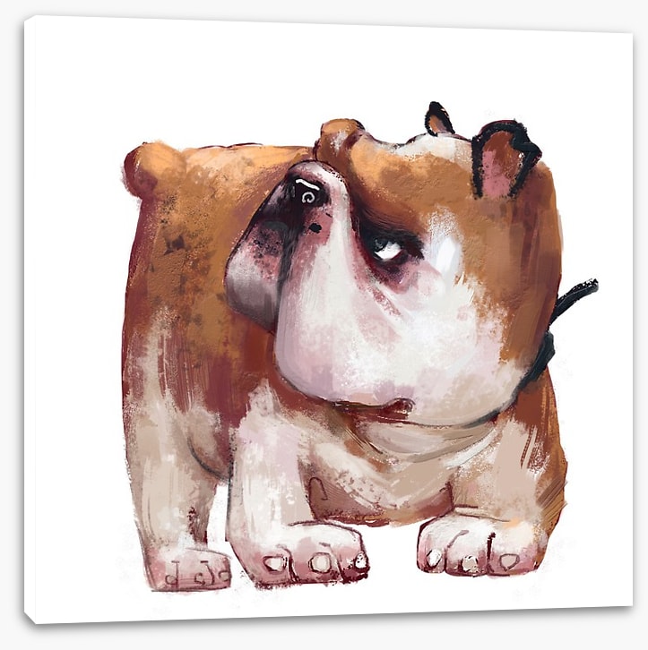 Cranky paws