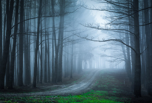 Black forest bend