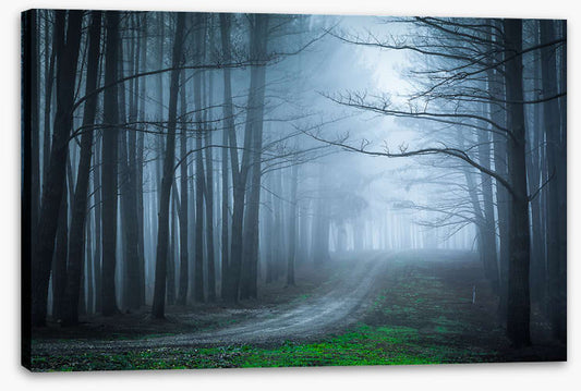 Black forest bend