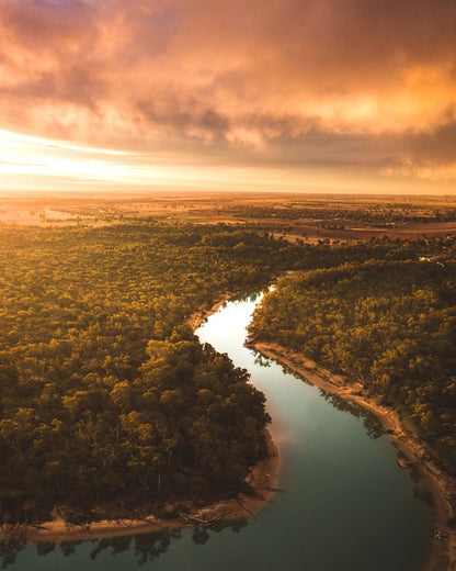 Murray river morning