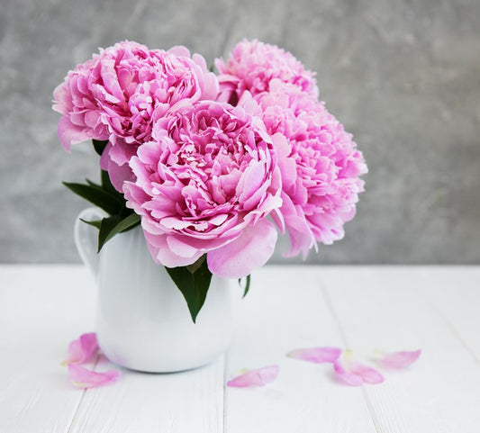 Petal me peony