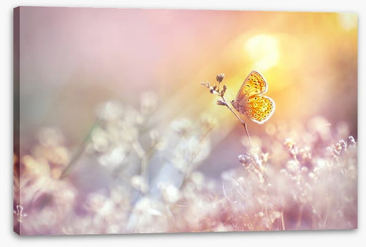 Golden flutter
