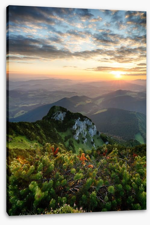 Summer summit