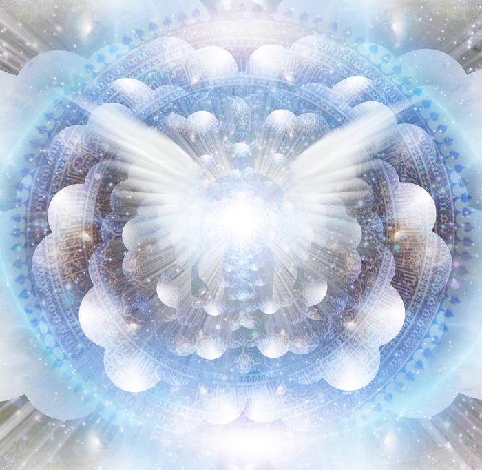 Wings and a prayer