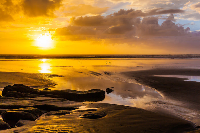 Auckland aglow