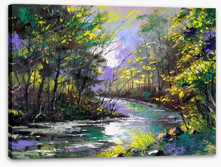 River through the woods