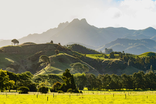 New Zealand