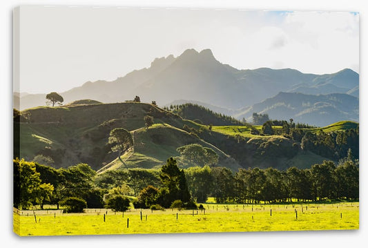 New Zealand