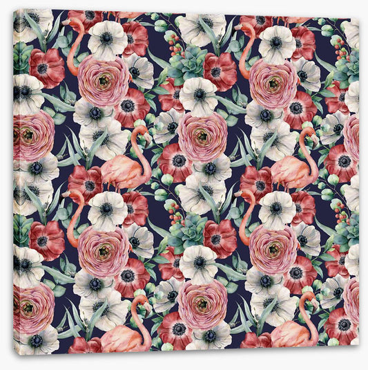 Ranunculus flamingos