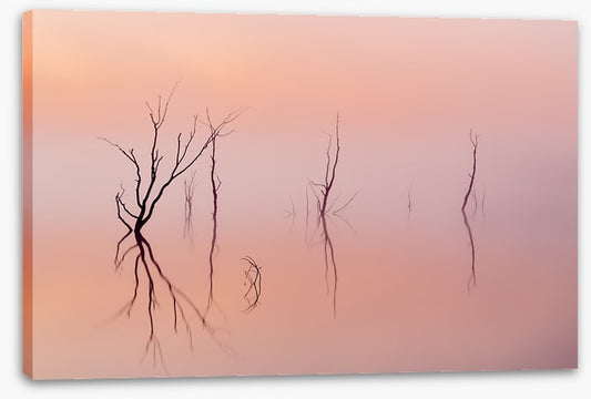 Lakes