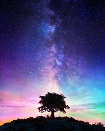 Life on earth