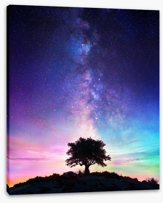 Life on earth