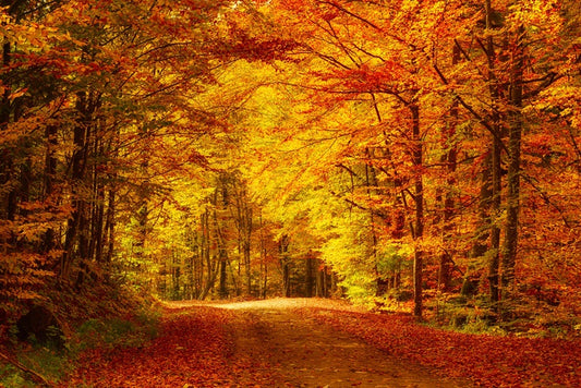 Golden day