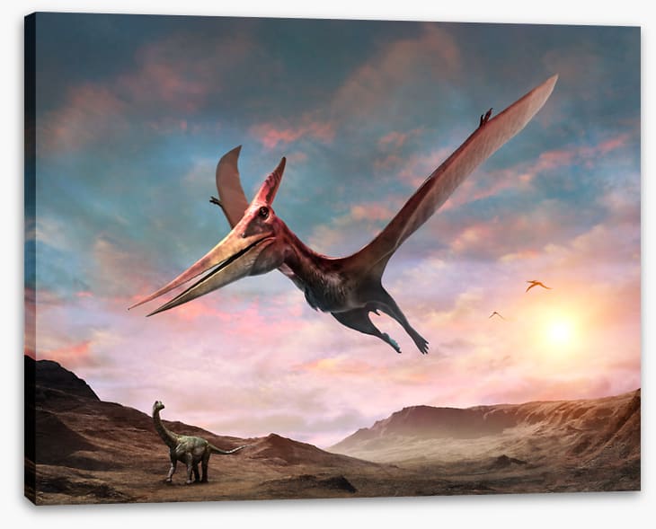 Pteranodon glide