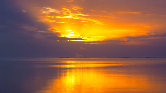 Sunsets / Rises
