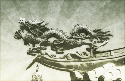 Dragons