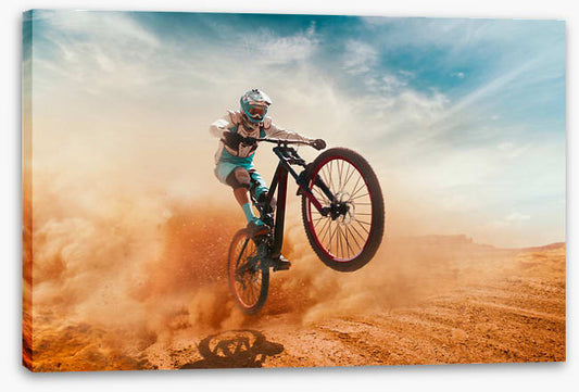 Desert ride