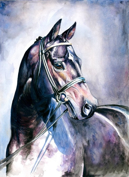 Soulful mare
