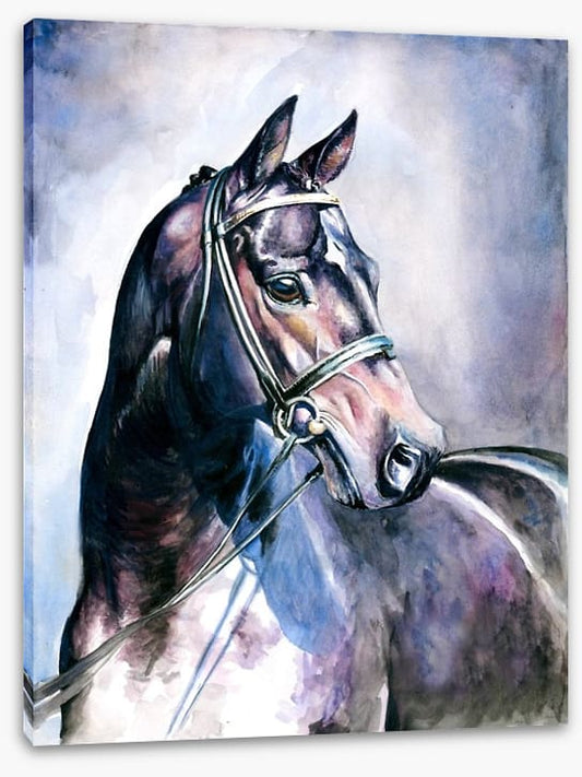 Soulful mare