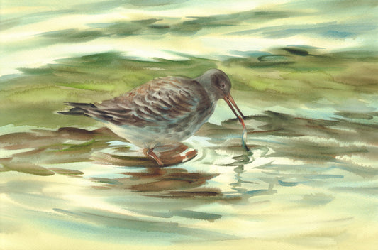 Wet beak