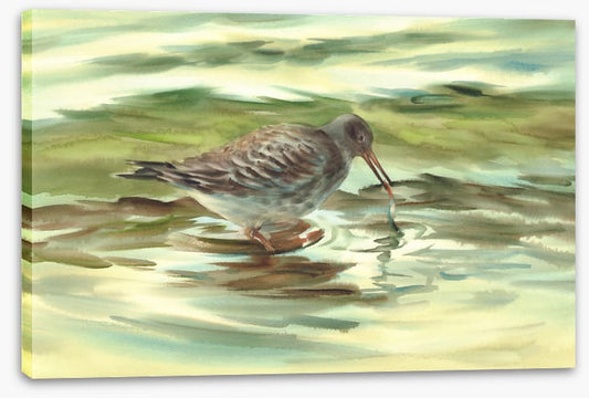 Wet beak
