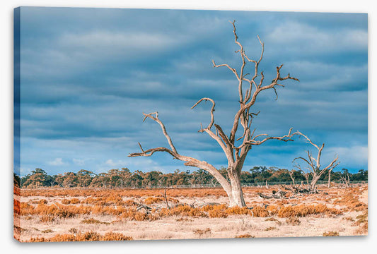 Outback