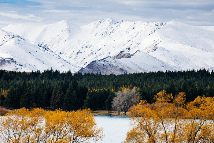 New Zealand