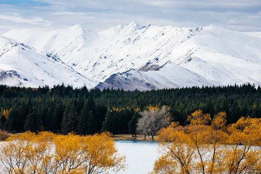 New Zealand