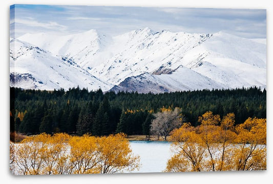 New Zealand