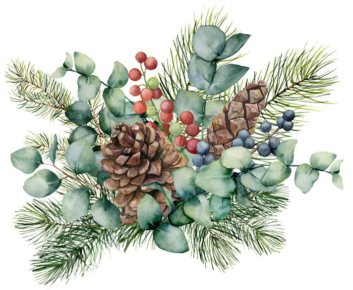 Eucalyptus cones