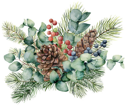 Eucalyptus cones