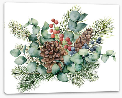 Eucalyptus cones