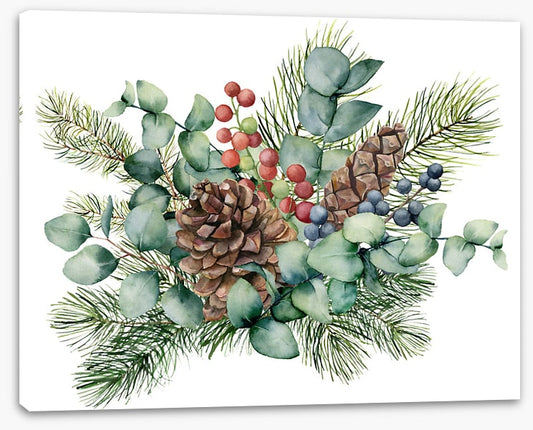 Eucalyptus cones
