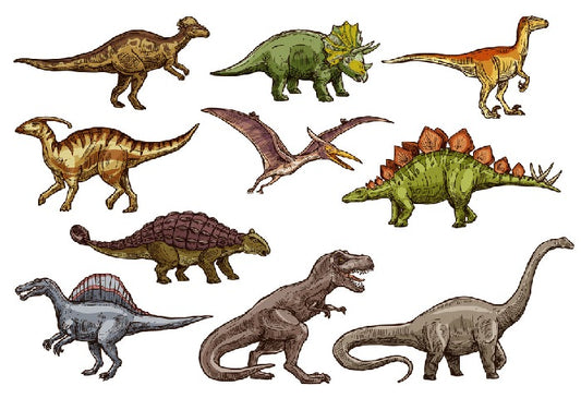 All shapes and sizes