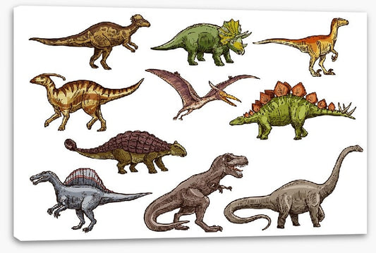 All shapes and sizes