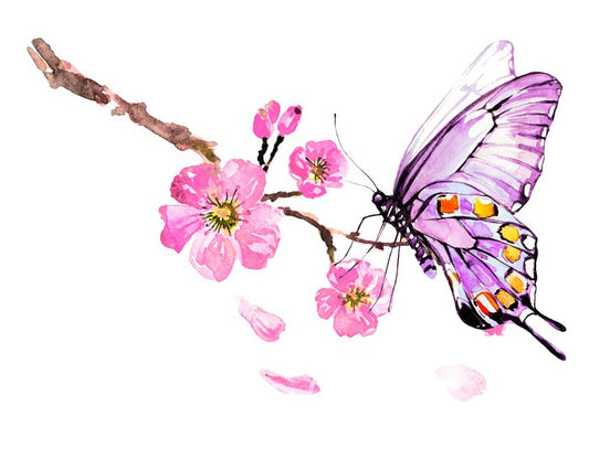 Butterflies