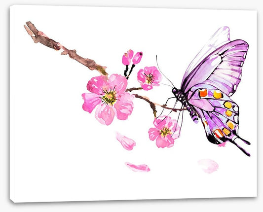 Butterflies