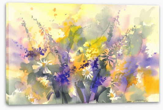 A splash of sunshine