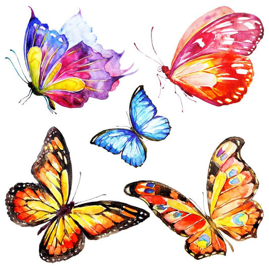Cacophony of colour