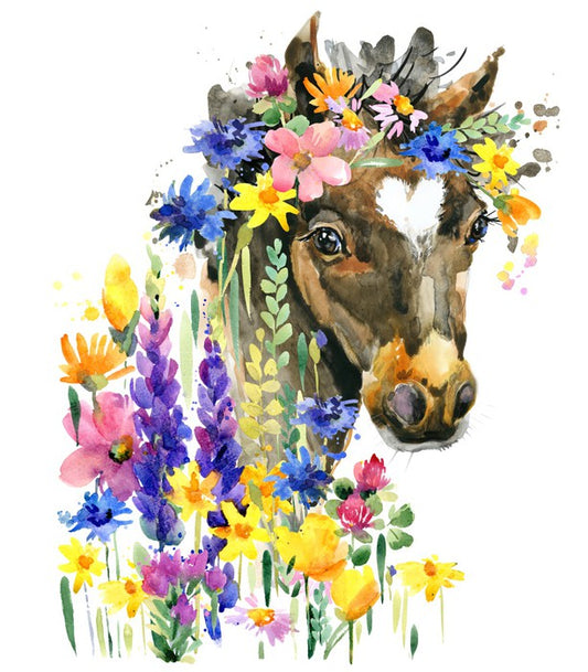 Wildflower pony