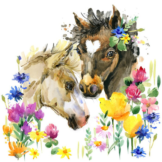 Wildflower foals