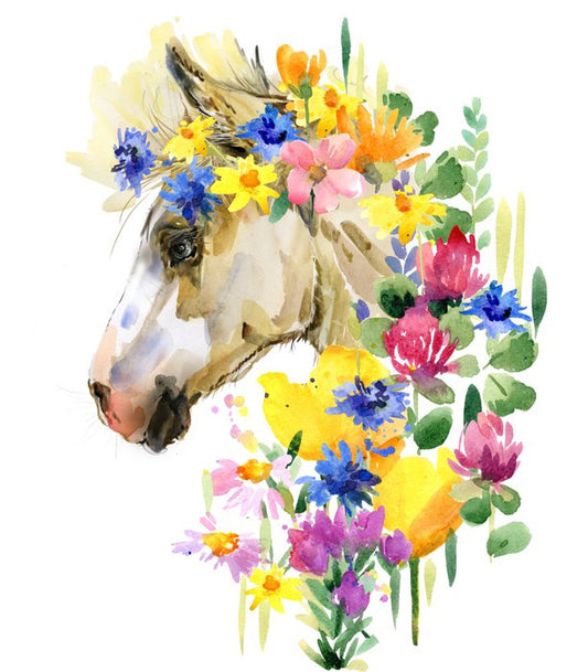 Spring steed