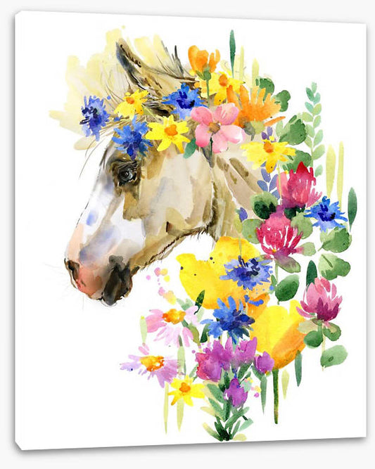 Spring steed