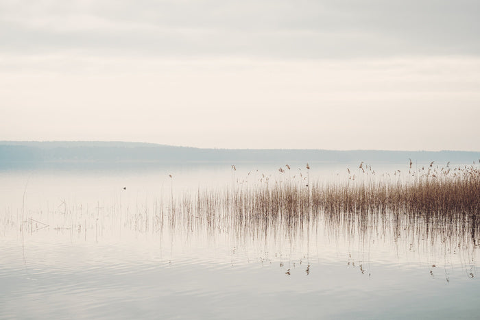 Lakeside mist