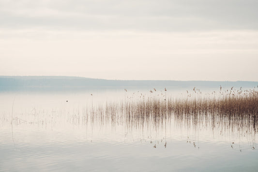 Lakeside mist