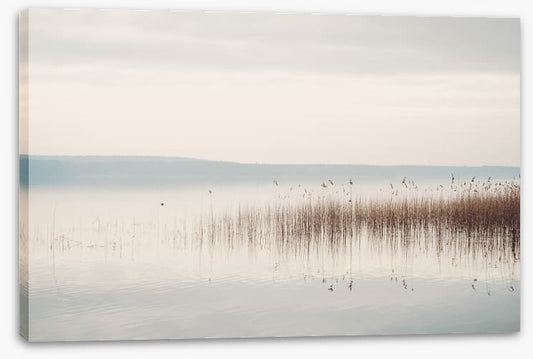 Lakeside mist
